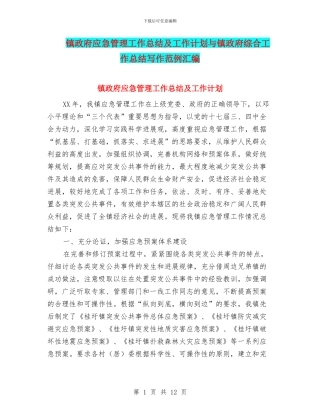 镇政府应急管理工作总结及工作计划与镇政府综合工作总结写作范例汇编
