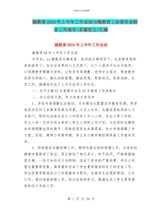 镇教委2024年上半年工作总结与镇教育工会委员会财务工作报告汇编.doc