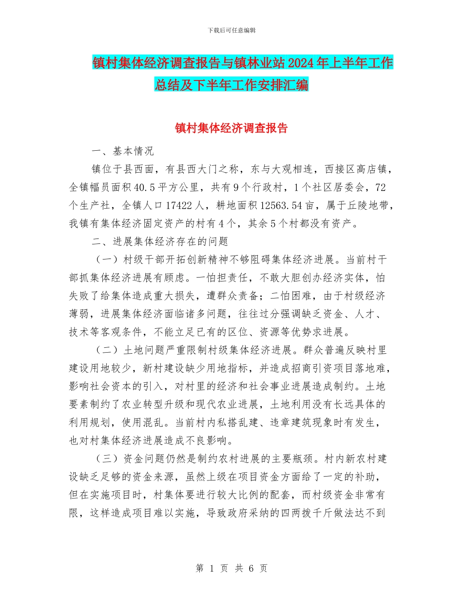 镇村集体经济调查报告与镇林业站2024年上半年工作总结及下半年工作安排汇编_第1页