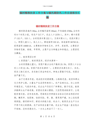 镇村精准扶贫工作方案与镇汛期防汛工作自查报告汇编