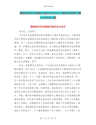 镇级综治信访维稳升温动员会发言与镇经济发展专题大会发言汇编