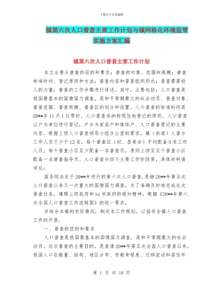 镇第六次人口普查主要工作计划与镇网格化环境监管实施方案汇编