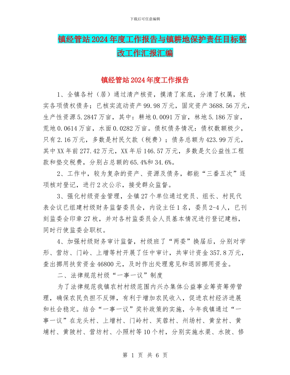 镇经管站2024年度工作报告与镇耕地保护责任目标整改工作汇报汇编_第1页