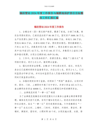 镇经管站2024年度工作报告与镇耕地保护责任目标整改工作汇报汇编