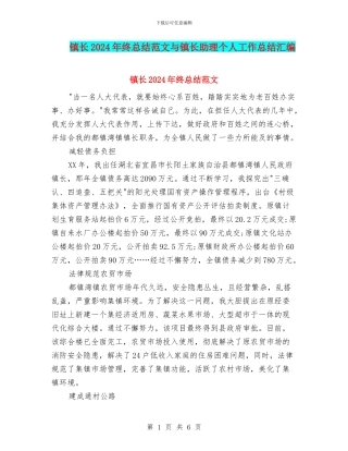 镇长2024年终总结范文与镇长助理个人工作总结汇编