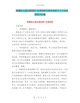 附属幼儿园自查材料-自查材料与青年教师个人工作总结范文汇编