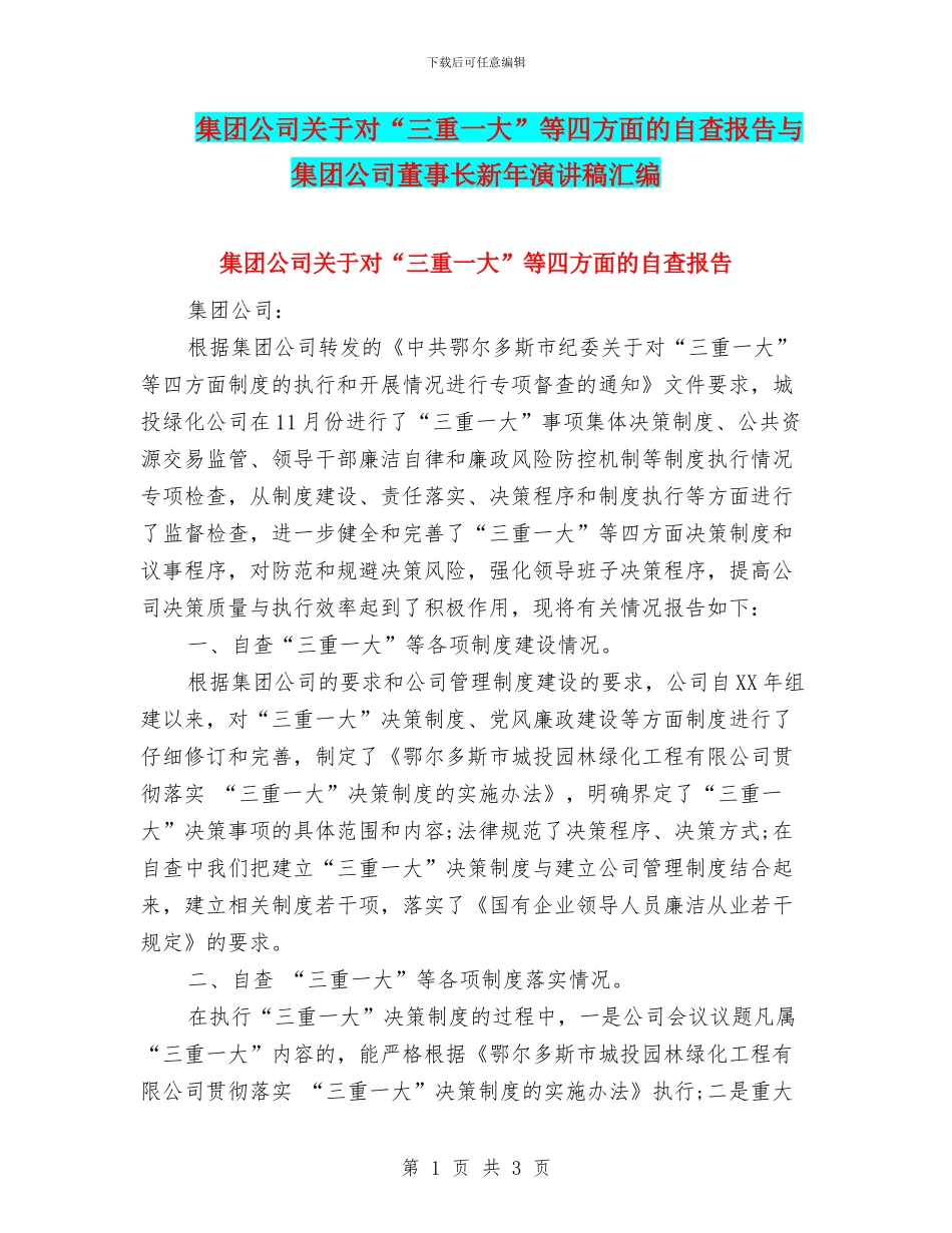 集团公司关于对“三重一大”等四方面的自查报告与集团公司董事长新年演讲稿汇编_第1页