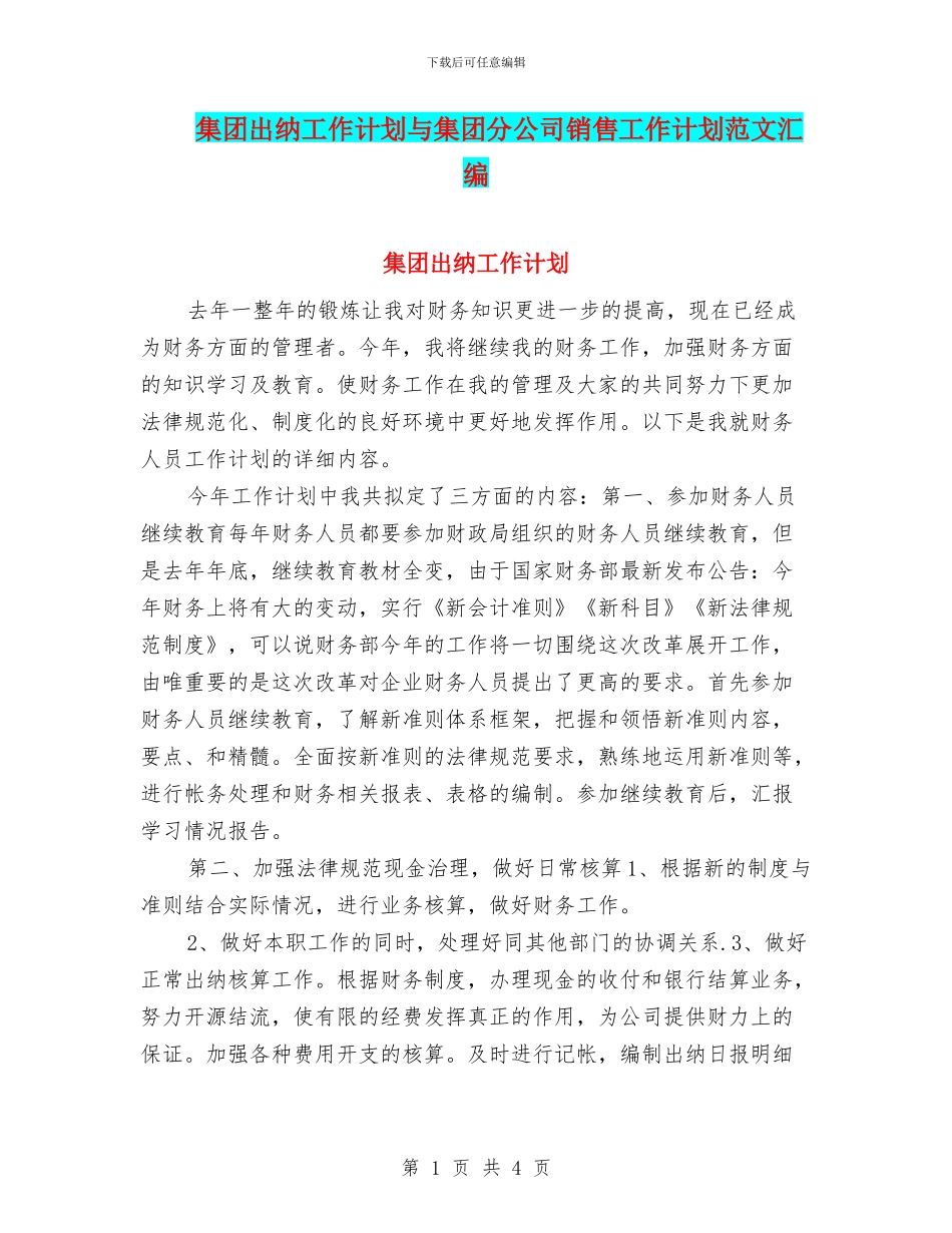 集团出纳工作计划与集团分公司销售工作计划范文汇编_第1页