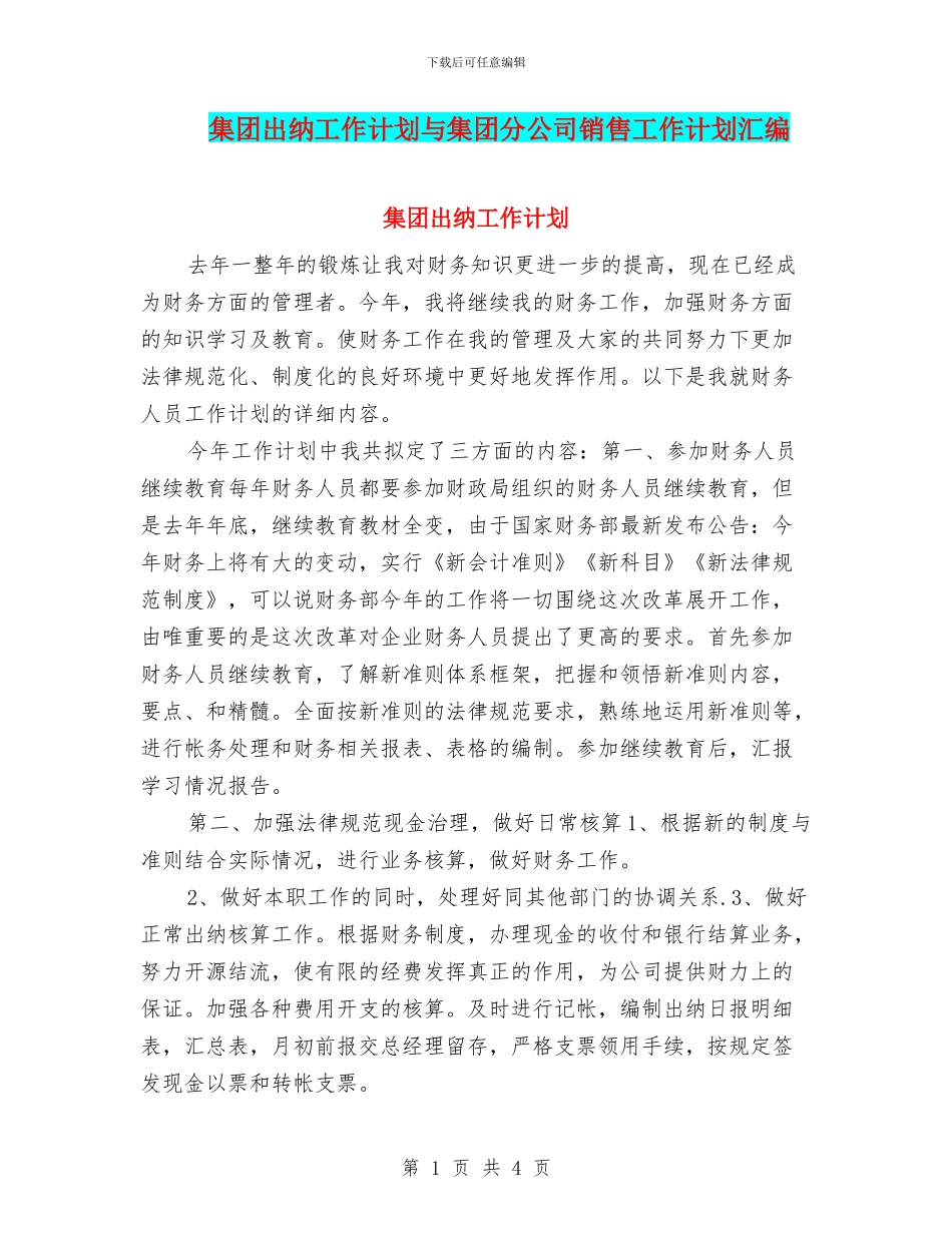 集团出纳工作计划与集团分公司销售工作计划汇编_第1页