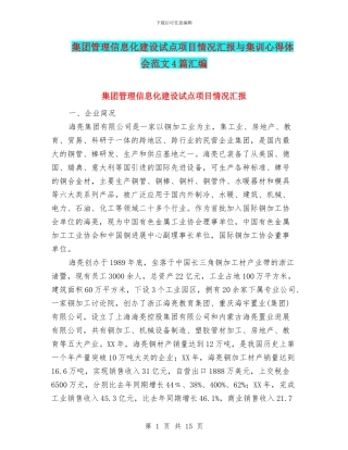 集团管理信息化建设试点项目情况汇报与集训心得体会范文4篇汇编