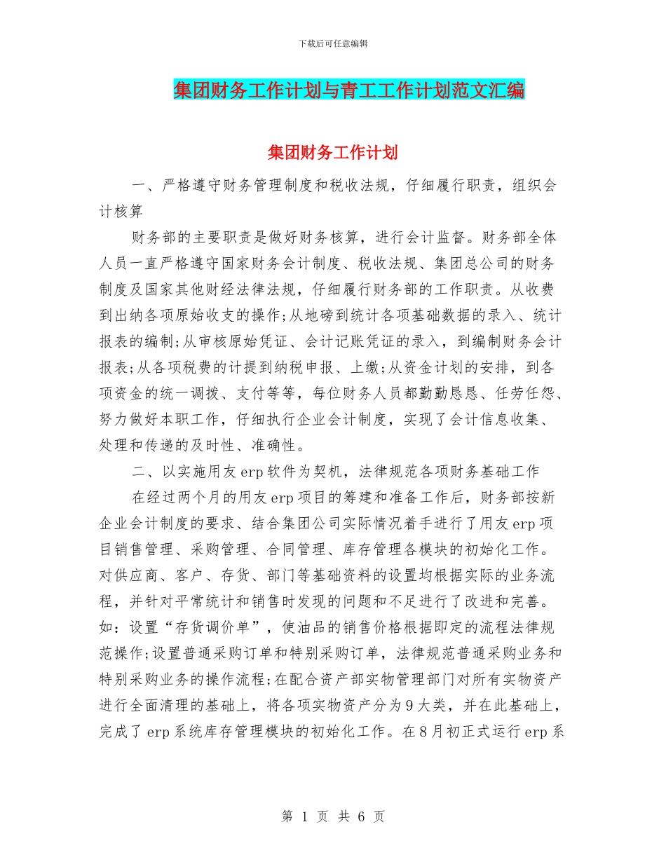 集团财务工作计划与青工工作计划范文汇编_第1页