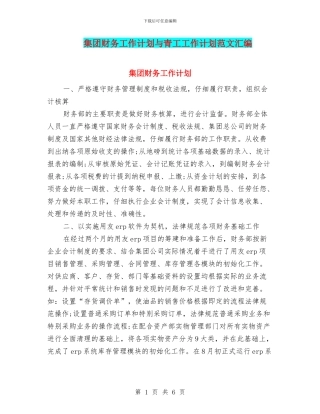 集团财务工作计划与青工工作计划范文汇编