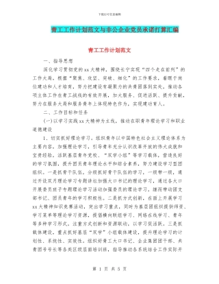 青工工作计划范文与非公企业党员承诺打算汇编