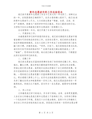 青年志愿者年终工作总结范本
