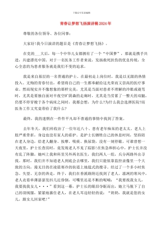 青春让梦想飞扬演讲稿2024年