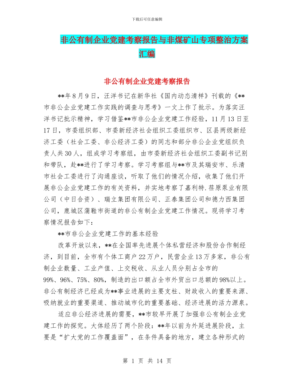 非公有制企业党建考察报告与非煤矿山专项整治方案汇编_第1页