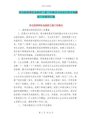 非公经济和社会组织工委工作要点与非法行医专项整治工作报告汇编