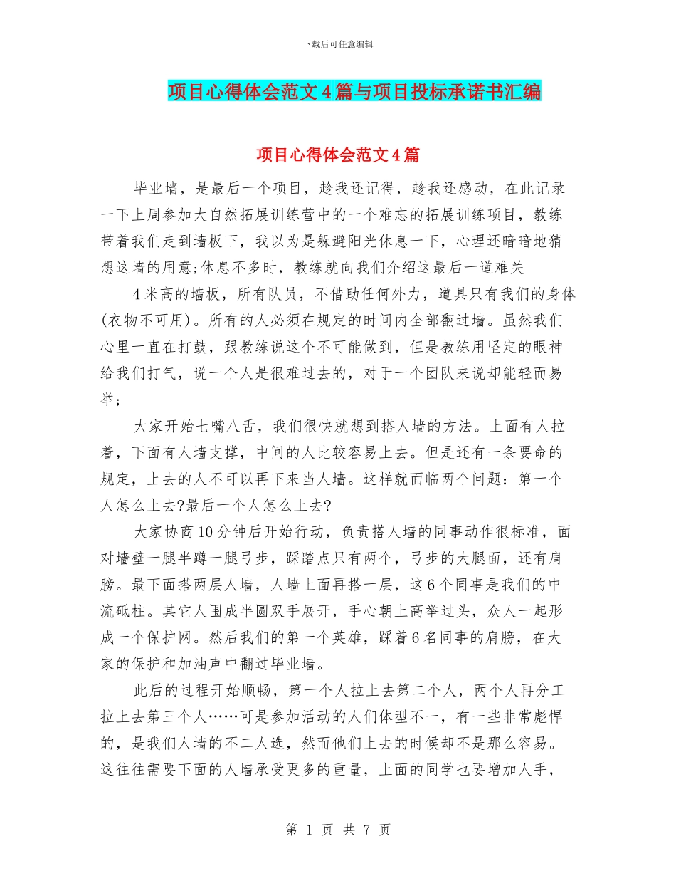 项目心得体会范文4篇与项目投标承诺书汇编_第1页