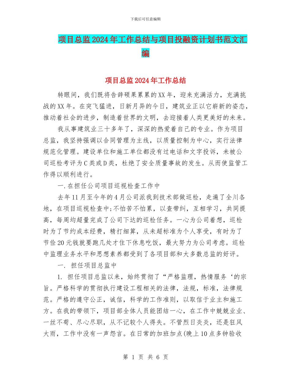 项目总监2024年工作总结与项目投融资计划书范文汇编_第1页