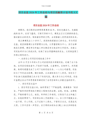 项目总监2024年工作总结与项目投融资计划书范文汇编