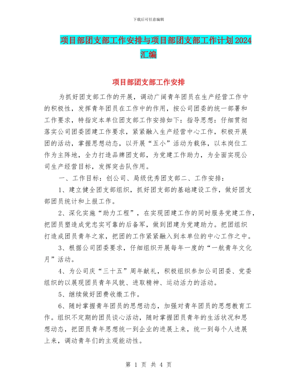 项目部团支部工作安排与项目部团支部工作计划2024汇编_第1页