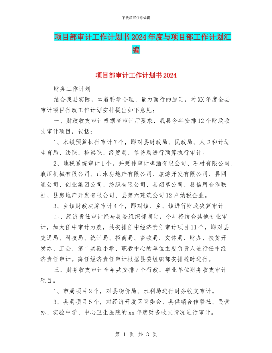 项目部审计工作计划书2024年度与项目部工作计划汇编_第1页