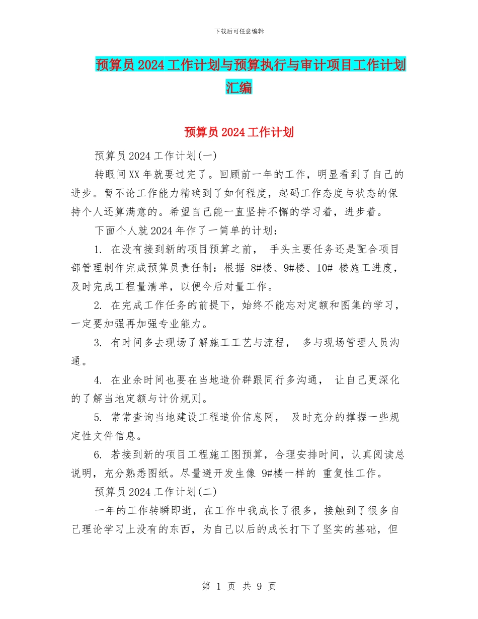 预算员2024工作计划与预算执行与审计项目工作计划汇编_第1页