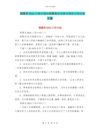预算员2024工作计划与预算执行与审计项目工作计划汇编