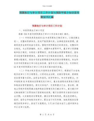 预算执行与审计项目工作计划与预防甲流小知识宣传策划书汇编