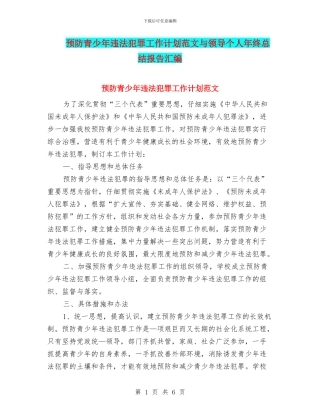 预防青少年违法犯罪工作计划范文与领导个人年终总结报告汇编