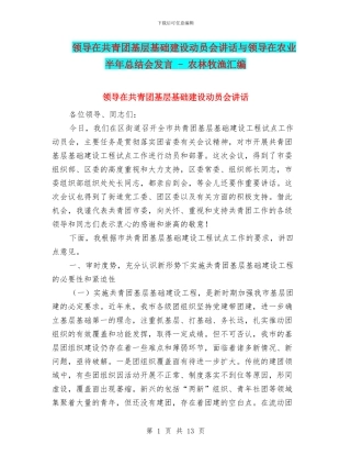 领导在共青团基层基础建设动员会讲话与领导在农业半年总结会发言