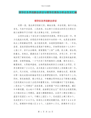 领导在各界迎新会讲话与领导在商务分析会发言汇编