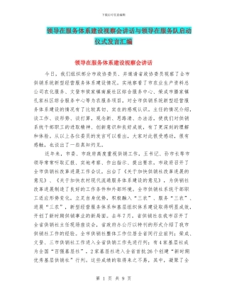 领导在服务体系建设视察会讲话与领导在服务队启动仪式发言汇编