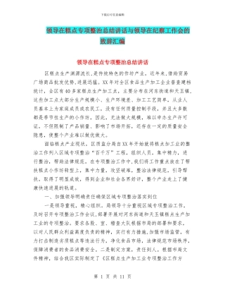 领导在糕点专项整治总结讲话与领导在纪察工作会的致辞汇编