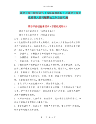 领导干部任前承诺书与领导干部企业投资入股问题整治工作总结汇编