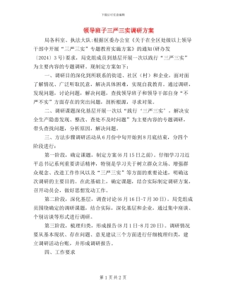 领导班子三严三实调研方案