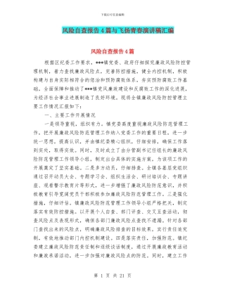 风险自查报告4篇与飞扬青春演讲稿汇编