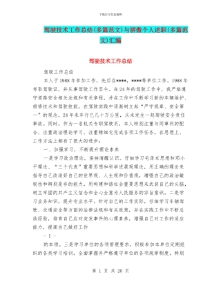 驾驶技术工作总结与骄傲个人述职(多篇范文)汇编