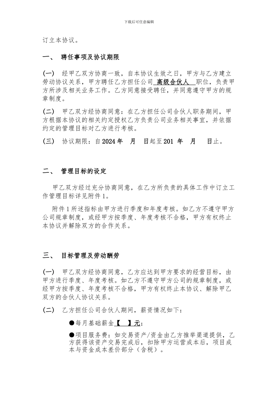 高级合伙人协议_第3页