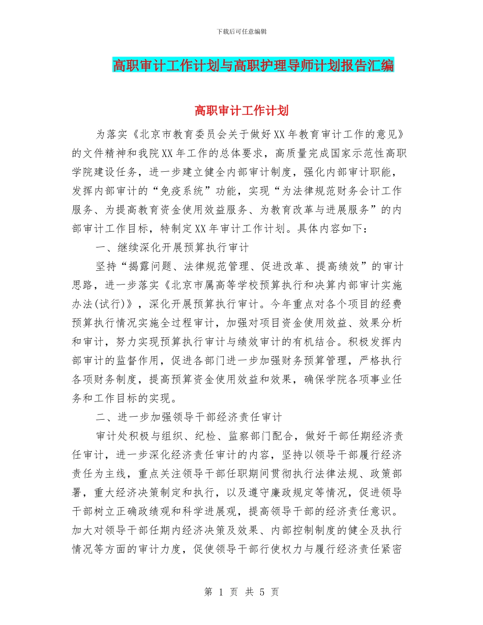 高职审计工作计划与高职护理导师计划报告汇编_第1页