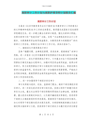 高职审计工作计划与高职护理导师计划报告汇编