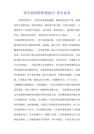 母牛的饲养管理技巧 - 养牛技术