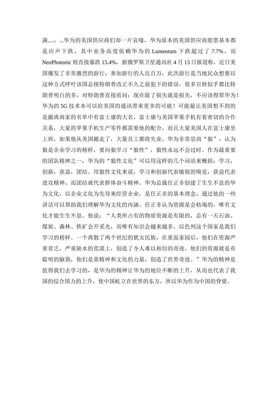 华为——中华民族的脊梁_第2页