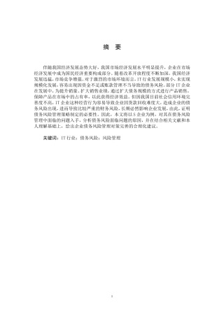 IT行业债务风险管理研究