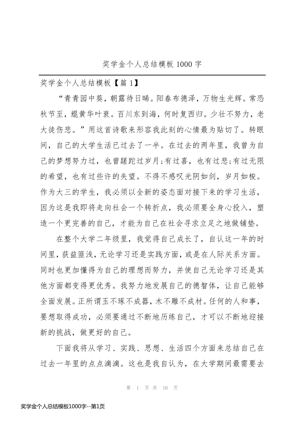 奖学金个人总结模板1000字_第1页