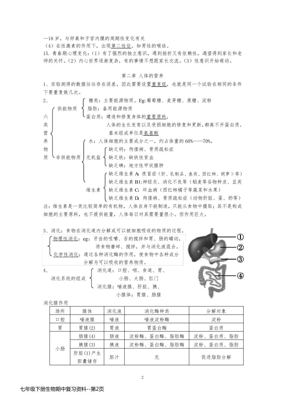 七年级下册生物期中复习资料_第2页