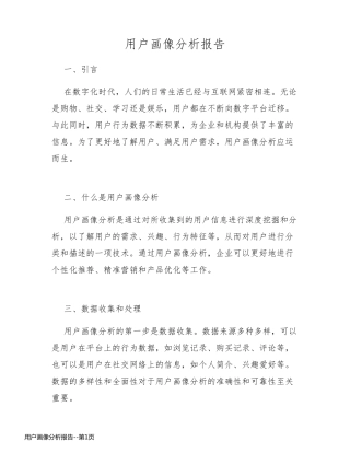 用户画像分析报告