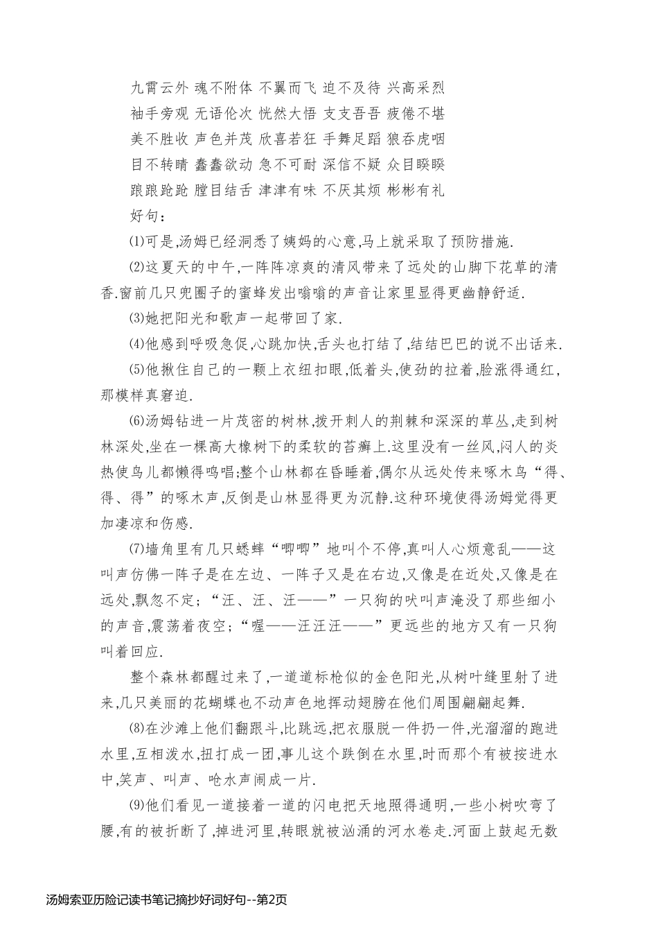 汤姆索亚历险记读书笔记摘抄好词好句_第2页