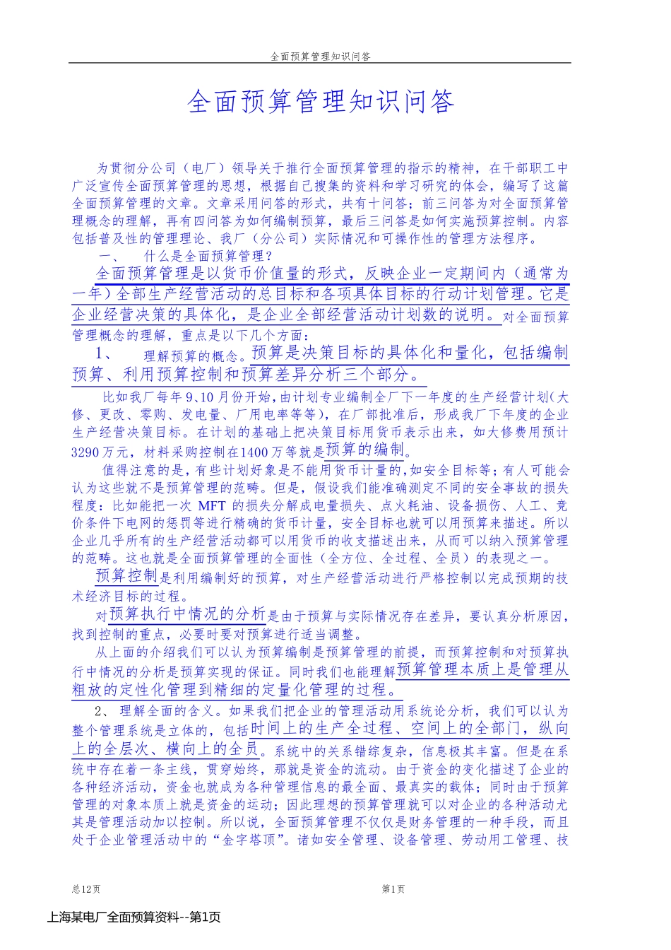 上海某电厂全面预算资料_第1页