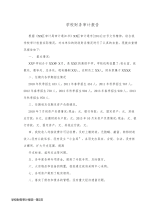 学校财务审计报告